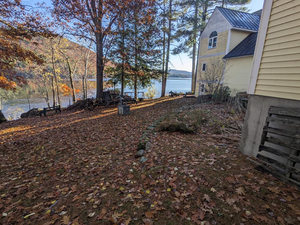 Fall/Spring Project 1