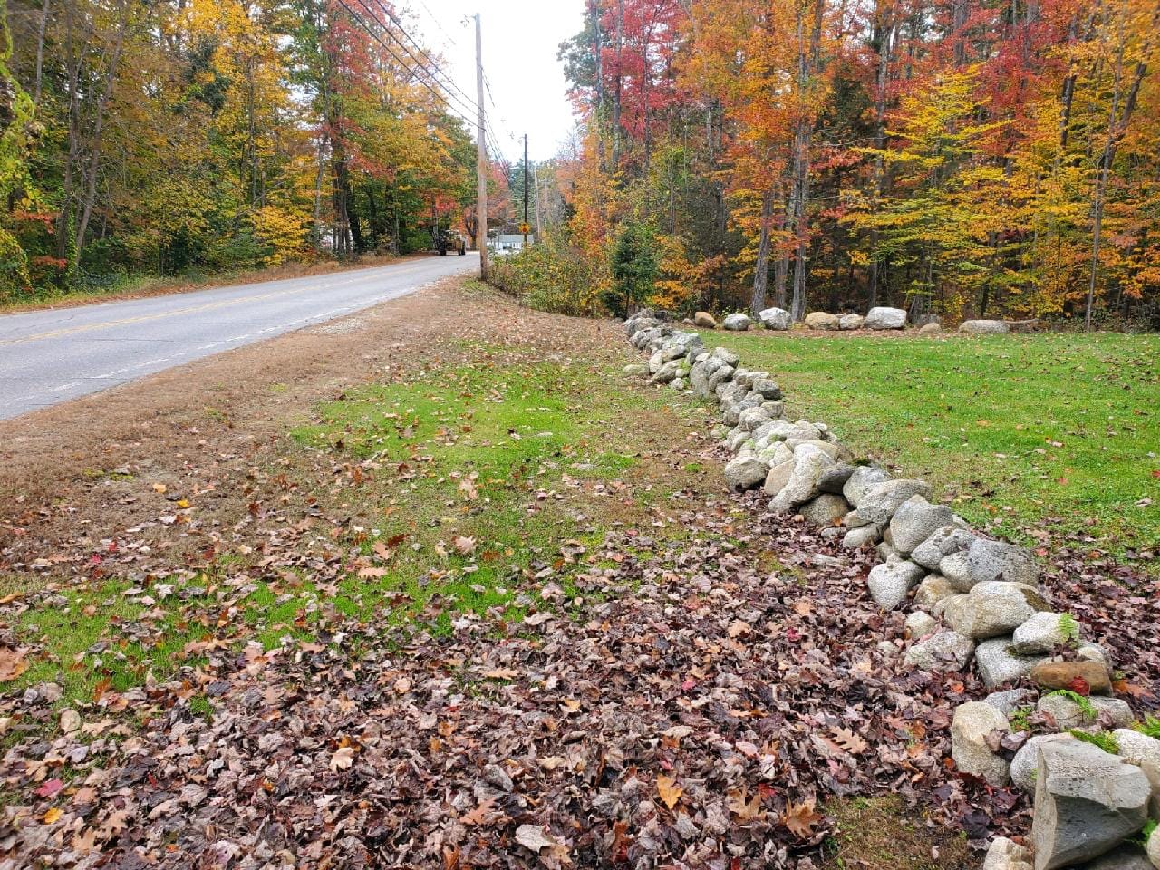 Fall/Spring Project 7